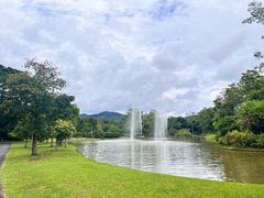 -中国科学院西双版纳热带植物园