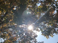 -重元寺香积厨素斋馆