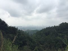 iphone_upload_pic-火炉山森林公园