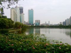 android_upload_pic-西北湖绿化广场