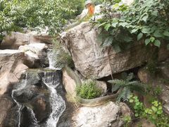 -狼牙山风景区