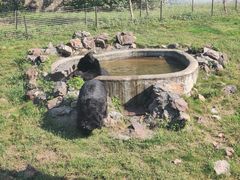 -无锡动物园·太湖欢乐园