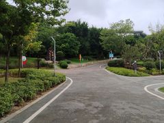 -飞凤山奥体公园