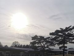 -轻井泽王子购物广场