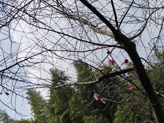 -汇龙潭