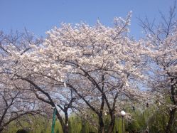 iphone_upload_pic-晴川假日酒店·宴会厅·会议厅