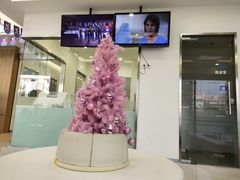 -天使口腔门诊部(上海店)