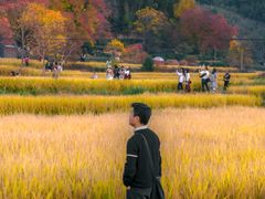 -塔川景区