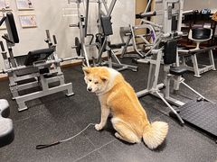-YCHL Studios健身工作室(市二宫店)