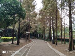 -苏州河梦清园环保主题公园