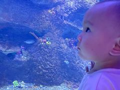 -沙沙哗啦海洋馆(华宇百花谷店)
