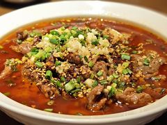 -向川南·水煮鱼·川菜(和平里店)