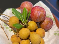 -季季山·云南野生菌火锅(上海首店)