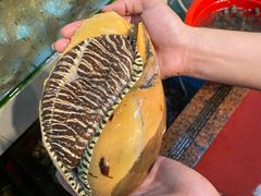 椰子螺排骨汤-原龙海鲜大排档(美食地标店)