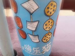 -巨鹏飞梦幻水世界