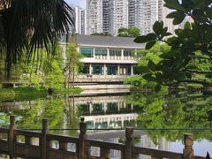 -荔湾湖公园