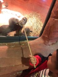 -酷嗒动物文化乐园(cutezoo西溪乐天城店)