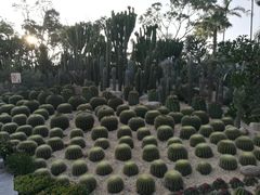 -胡里山炮台