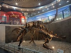 -国家自然博物馆
