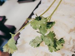 -辣伍鲜毛肚老火锅(元一店)