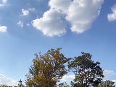 -九科绿洲