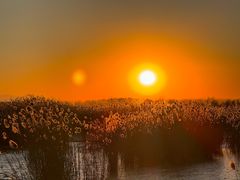 -野鸭湖国家湿地公园