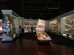 -墨尔本博物馆(Melbourne Museum)