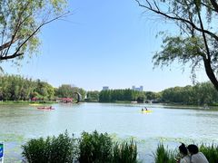 -昆山城市生态森林公园