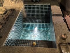 -春晖园度假酒店温泉