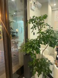 -海涛医疗美容·面部抗衰·注射美鼻