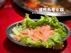 -谭鸭血老火锅(漳州路店)