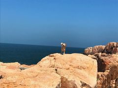 -东极岛景区-青浜岛