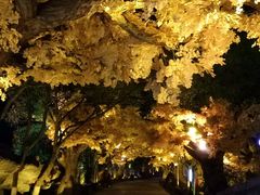 -横店影视城梦幻谷园区
