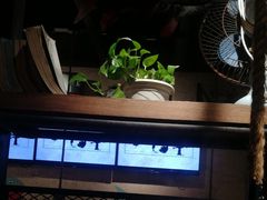 -探鱼·鲜青椒爽麻烤鱼(广州欣荣广场店)