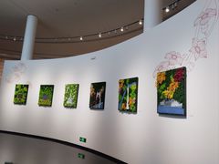 -云溪植物园