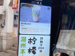 -猫的魔法密林(衣裳街店)