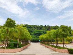 -平湖九龙山旅游度假区