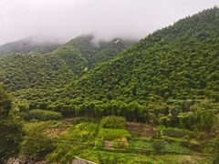 -将军关探险漂流