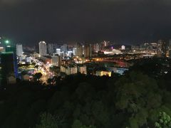 -金鸡山公园