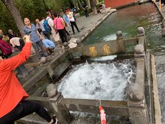 -百脉泉景区