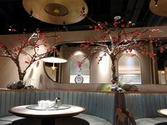 -佬肥猫(国华广场店)
