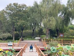 -燕郊植物园