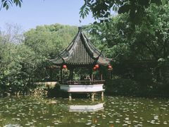 -上海醉白池公园