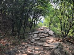 -鬼笑石后山停车场