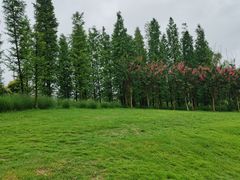 -两河城市森林公园