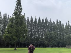 -黄海国家森林公园