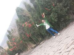 android_upload_pic-蒙山大佛景区