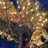 重庆美食｜江岸上的亲子西餐厅