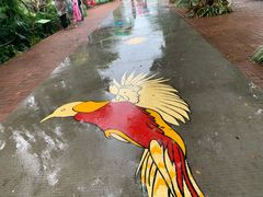 -广州长隆飞鸟乐园