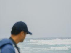 -东郊椰林
